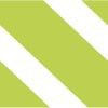 Rayé vert