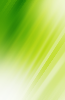 16.png