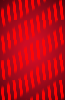 55.png